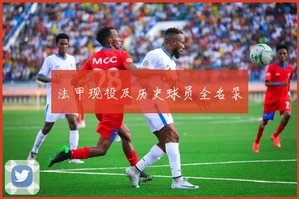 法甲现役及历史球员全名录