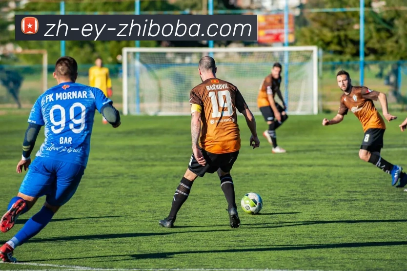 直播8平台生态图