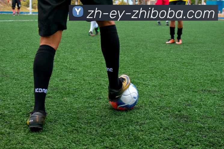 直播8全站App 直播8全站App