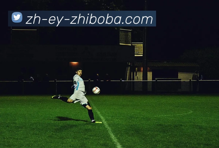 辅助工具 辅助工具